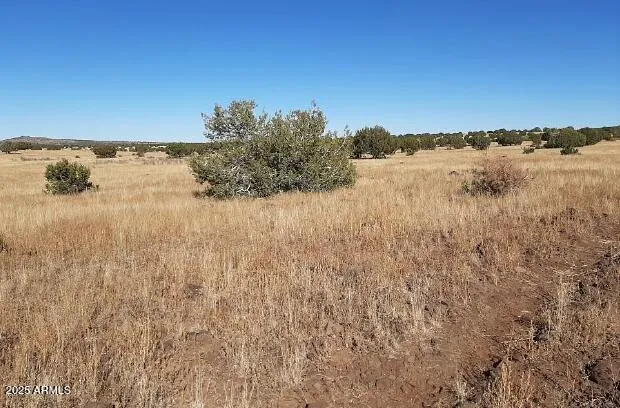 $11,997 | 42700 Hard Rock Way, Seligman, AZ 86337