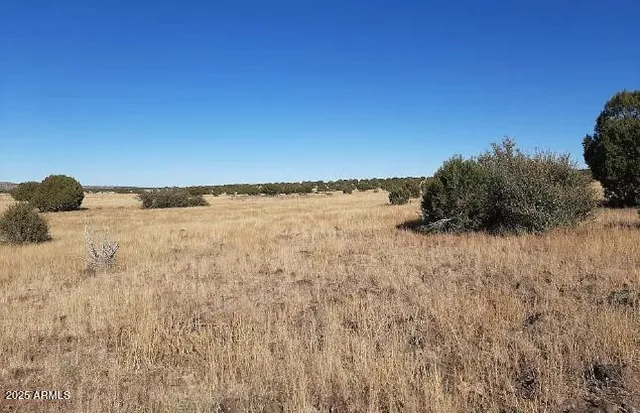 $11,997 | 42700 Hard Rock Way, Seligman, AZ 86337