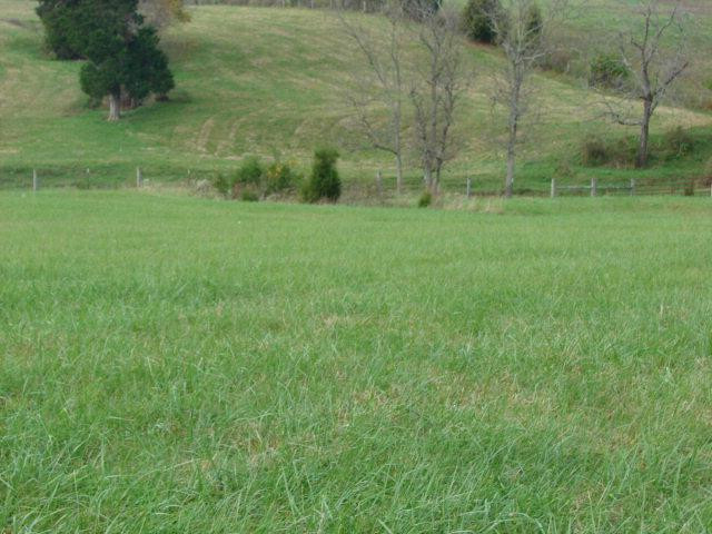 0 Ralph Park East Richmond, KY 40475 - Photo 13 of 37 Photo 13