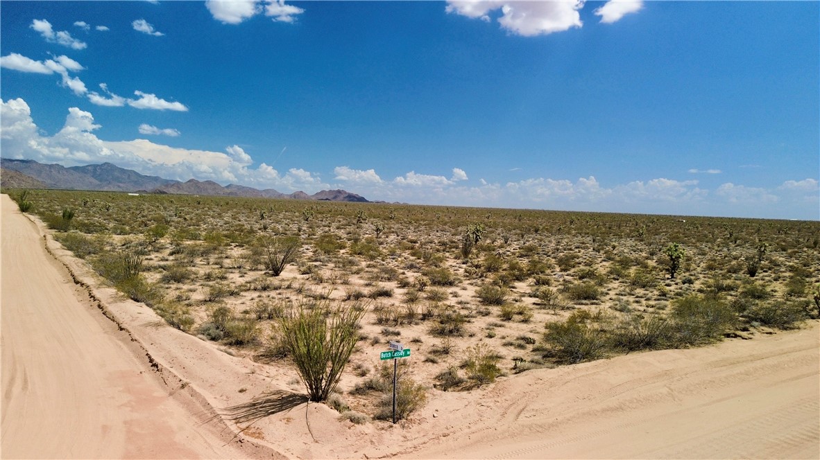 Parcel3177 South Butch Cassidy Road Yucca, AZ 86438 - Photo 4 of 9 CORNER LOT