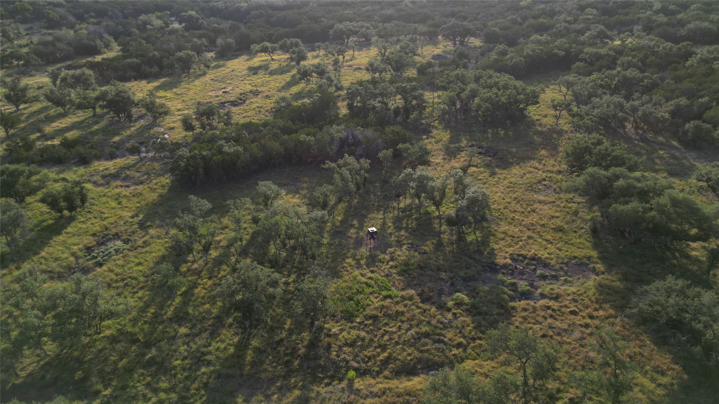 7819 Ranch To Market Road 2766 Ranch Johnson City, TX 78636 - Photo 15 of 30 a view of a forest
