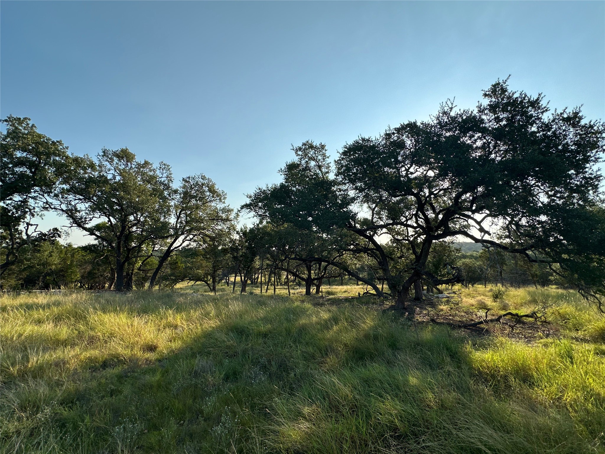 7819 Ranch To Market Road 2766 Ranch Johnson City, TX 78636 - Photo 18 of 30 a view of yard with green space