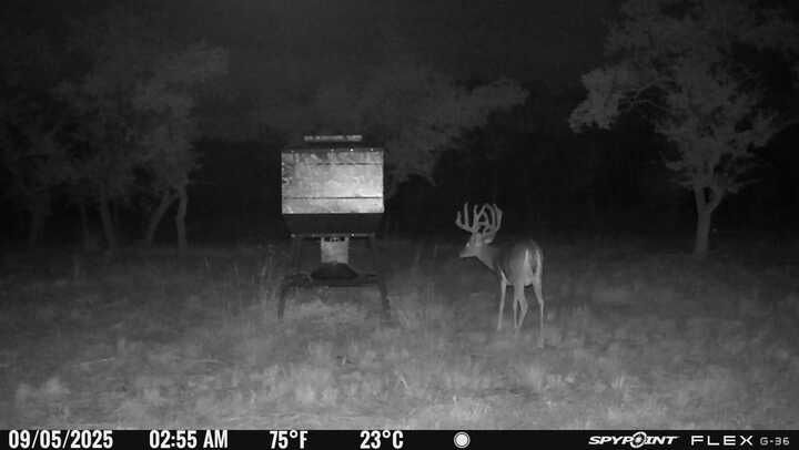 7819 Ranch To Market Road 2766 Ranch Johnson City, TX 78636 - Photo 19 of 30 a view of an outdoor space