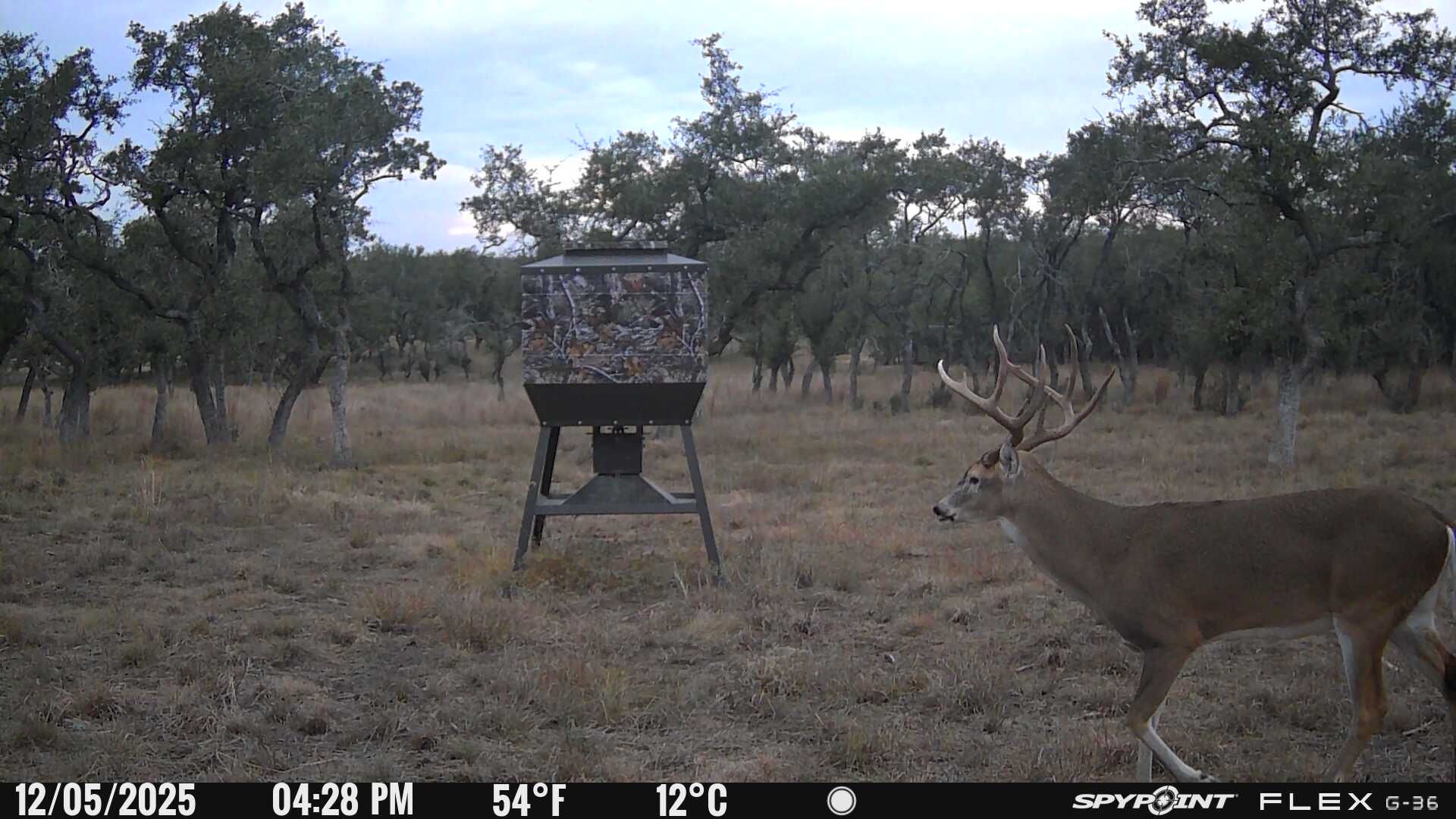 7819 Ranch To Market Road 2766 Ranch Johnson City, TX 78636 - Photo 20 of 30 a view of outdoor space