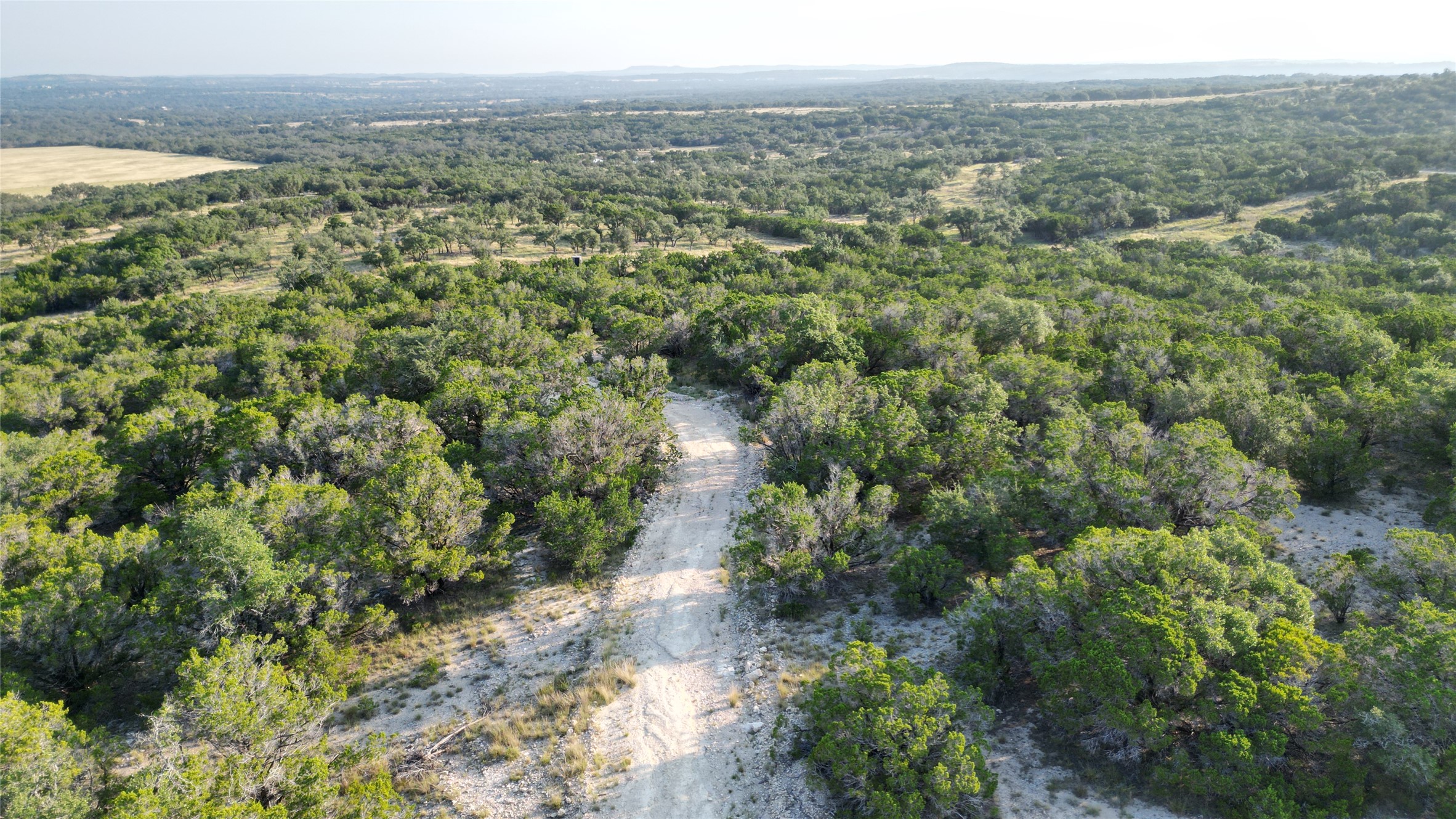 7819 Ranch To Market Road 2766 Ranch Johnson City, TX 78636 - Photo 23 of 30 a view of a big yard with lots of green space