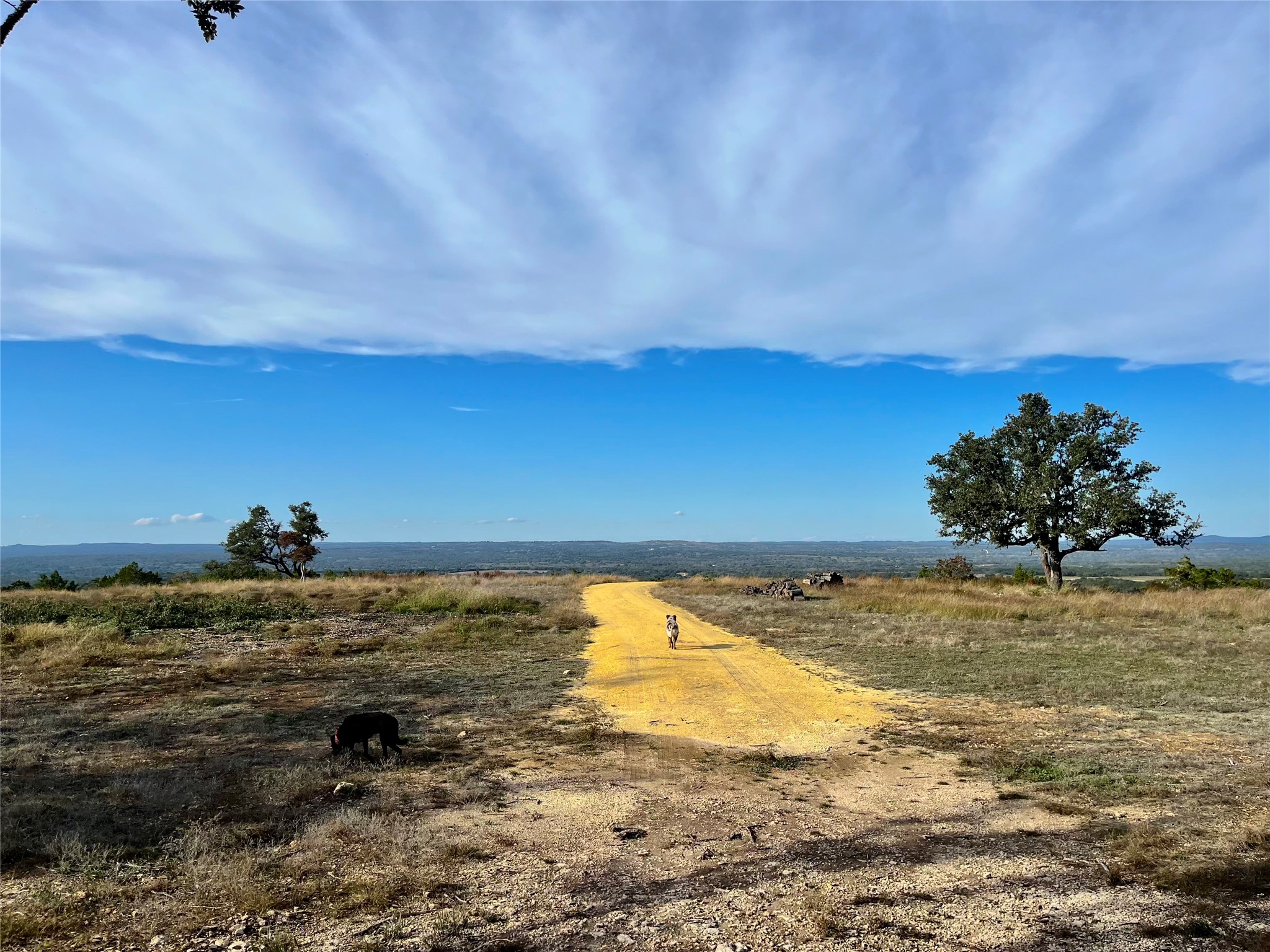 7819 Ranch To Market Road 2766 Ranch Johnson City, TX 78636 - Photo 26 of 30 a view of ocean view