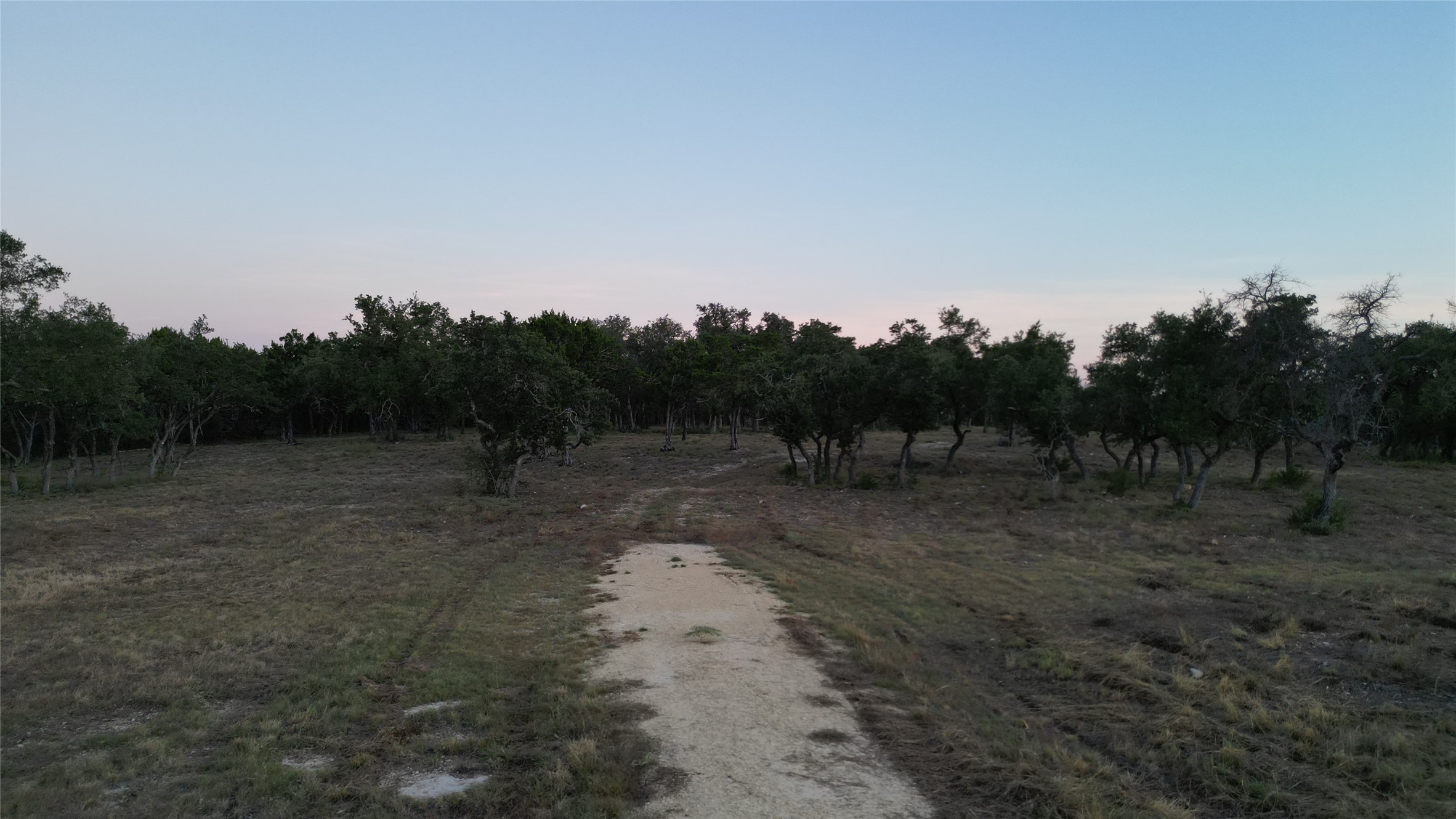 7819 Ranch To Market Road 2766 Ranch Johnson City, TX 78636 - Photo 28 of 30 a view of a dry yard with trees