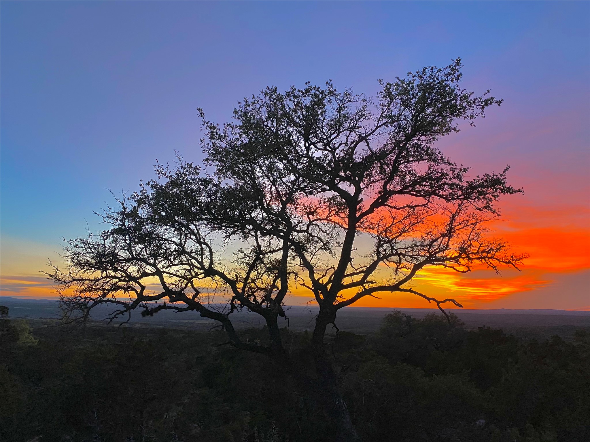 7819 Ranch To Market Road 2766 Ranch Johnson City, TX 78636 - Photo 29 of 30 a view of tree in front of a house with a yard