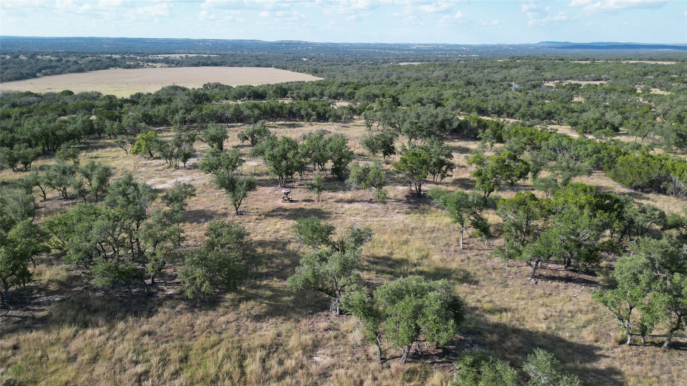 7819 Ranch To Market Road 2766 Ranch Johnson City, TX 78636 - Photo 5 of 30 a view of a forest with a lake view