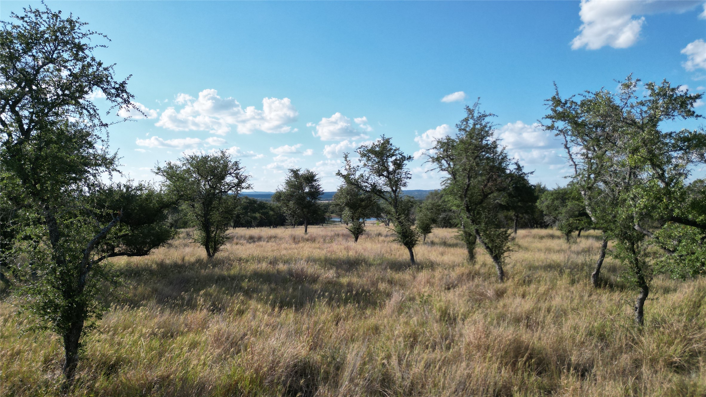 7819 Ranch To Market Road 2766 Ranch Johnson City, TX 78636 - Photo 8 of 30 a view of a yard with large trees