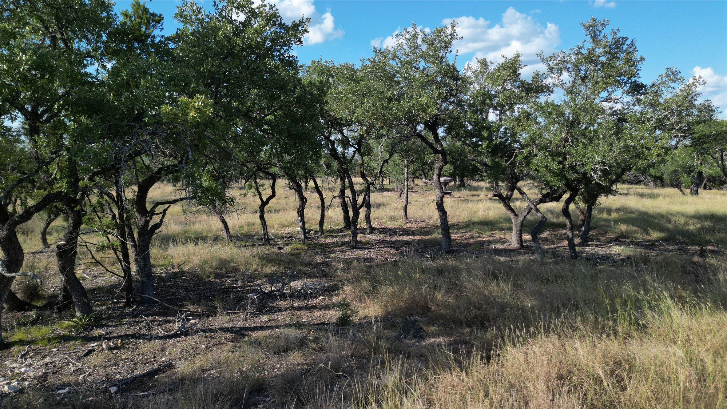 7819 Ranch To Market Road 2766 Ranch Johnson City, TX 78636 - Photo 9 of 30 a view of backyard with green space