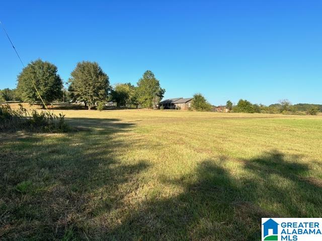 2984 Curry Station Road Munford, AL 36268 - Photo 5 of 42