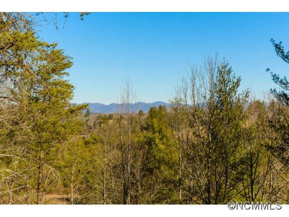 985-987 New Stock Road Weaverville, NC 28787 - Photo 5 of 14 Gallery Image 5