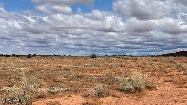 Lot 50 Snowflake Ranch Snowflake, AZ 85937 - Photo 2 of 4