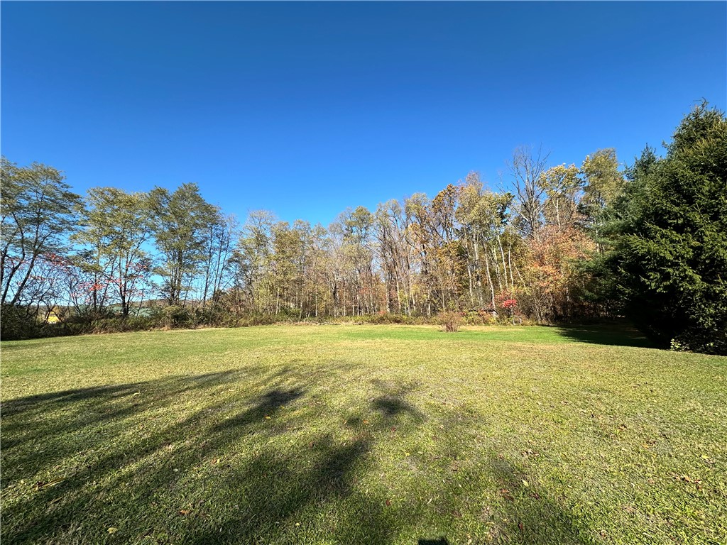 1701 Bronson Hill Road Dix, NY 14891 - Photo 33 of 34