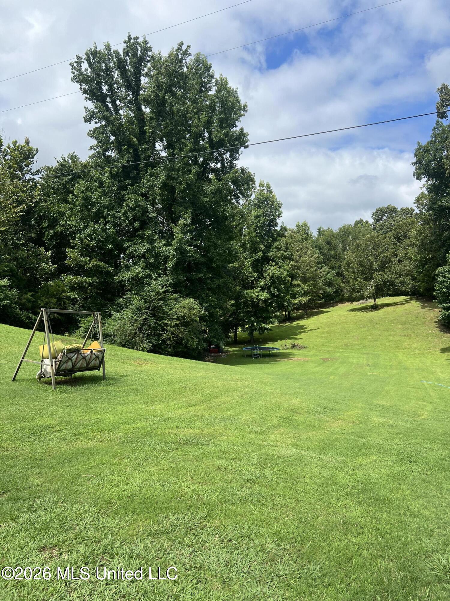 215 White Road Holly Springs, MS 38635 - Photo 2 of 2 backyard