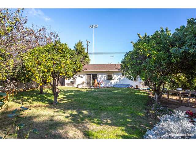 1132 Nardo Road Encinitas, CA 92024 - Photo 20 of 21 From Edge of Back Yard!