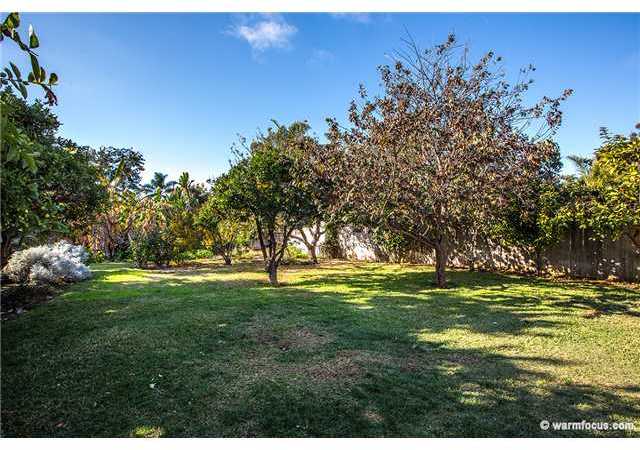 1132 Nardo Road Encinitas, CA 92024 - Photo 8 of 21 Expansive Back Yard