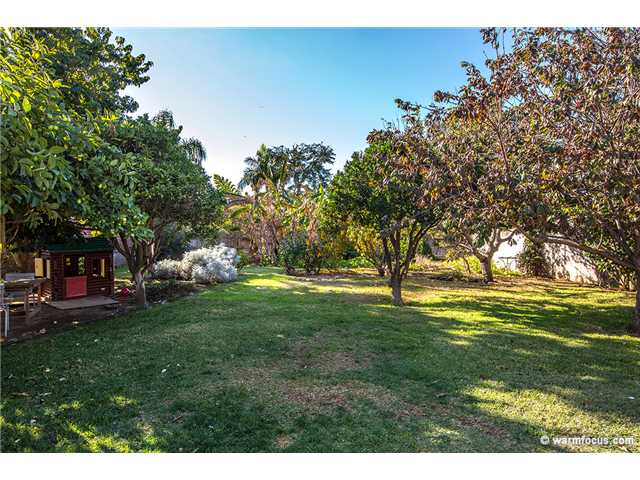 1132 Nardo Road Encinitas, CA 92024 - Photo 9 of 21 More Back Yard