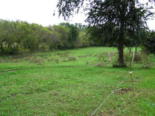 3205 North Marrill Road Byron, IL 61010 - Photo 5 of 9 Gallery Image 5