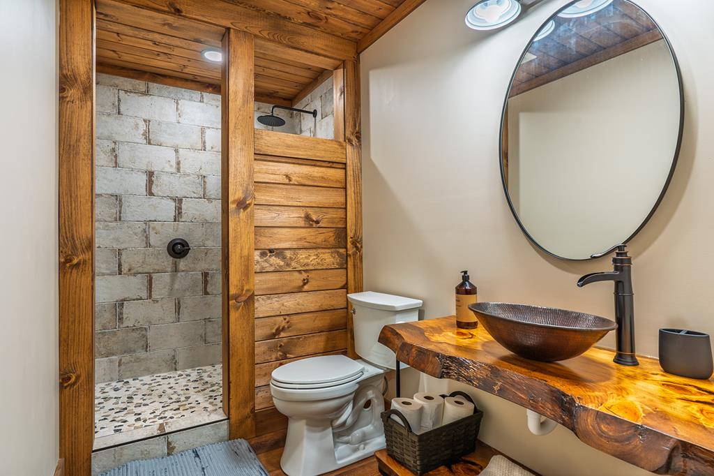 480 Riveredge Lane Ellijay, GA 30540 - Photo 39 of 66 a bathroom with a toilet a mirror and shower