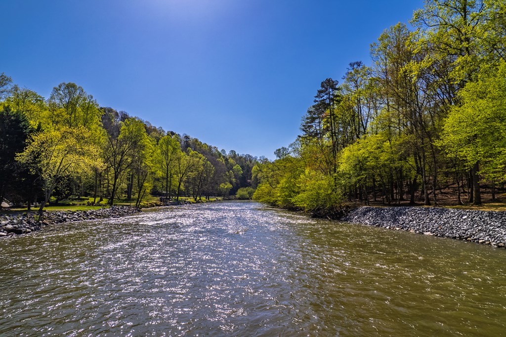 480 Riveredge Lane Ellijay, GA 30540 - Photo 10 of 66 a view of a yard with palm tree