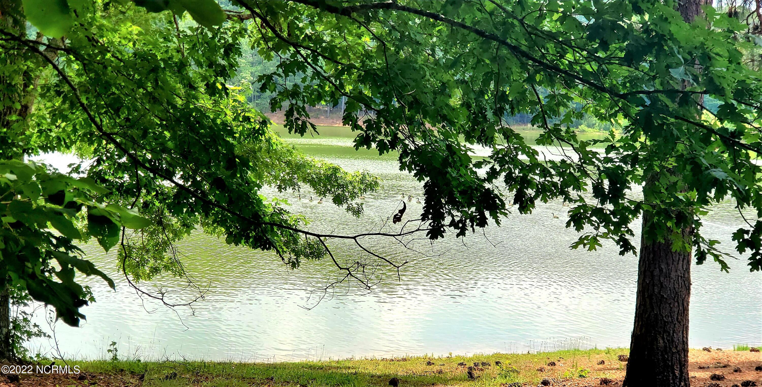 113 Palomino Road Carthage, NC 28327 - Photo 1 of 7 Lake Front View