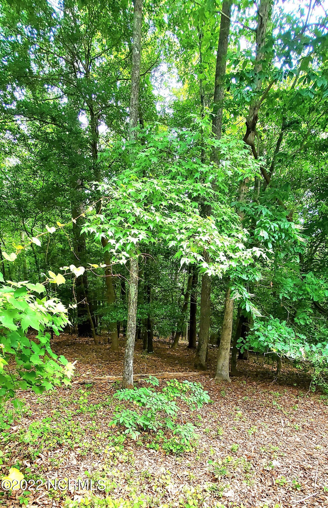 113 Palomino Road Carthage, NC 28327 - Photo 3 of 7 Equestian Village Lot View 1