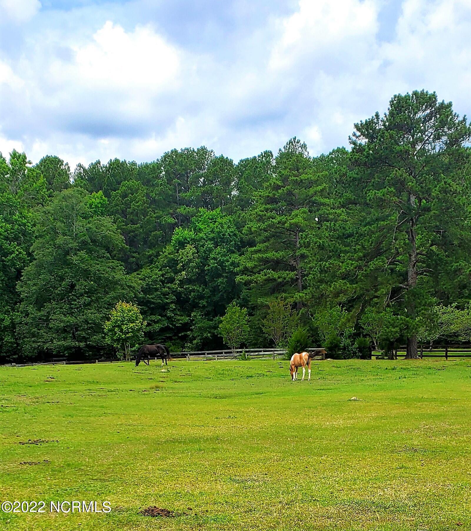 113 Palomino Road Carthage, NC 28327 - Photo 4 of 7 Equestian Village Pasture