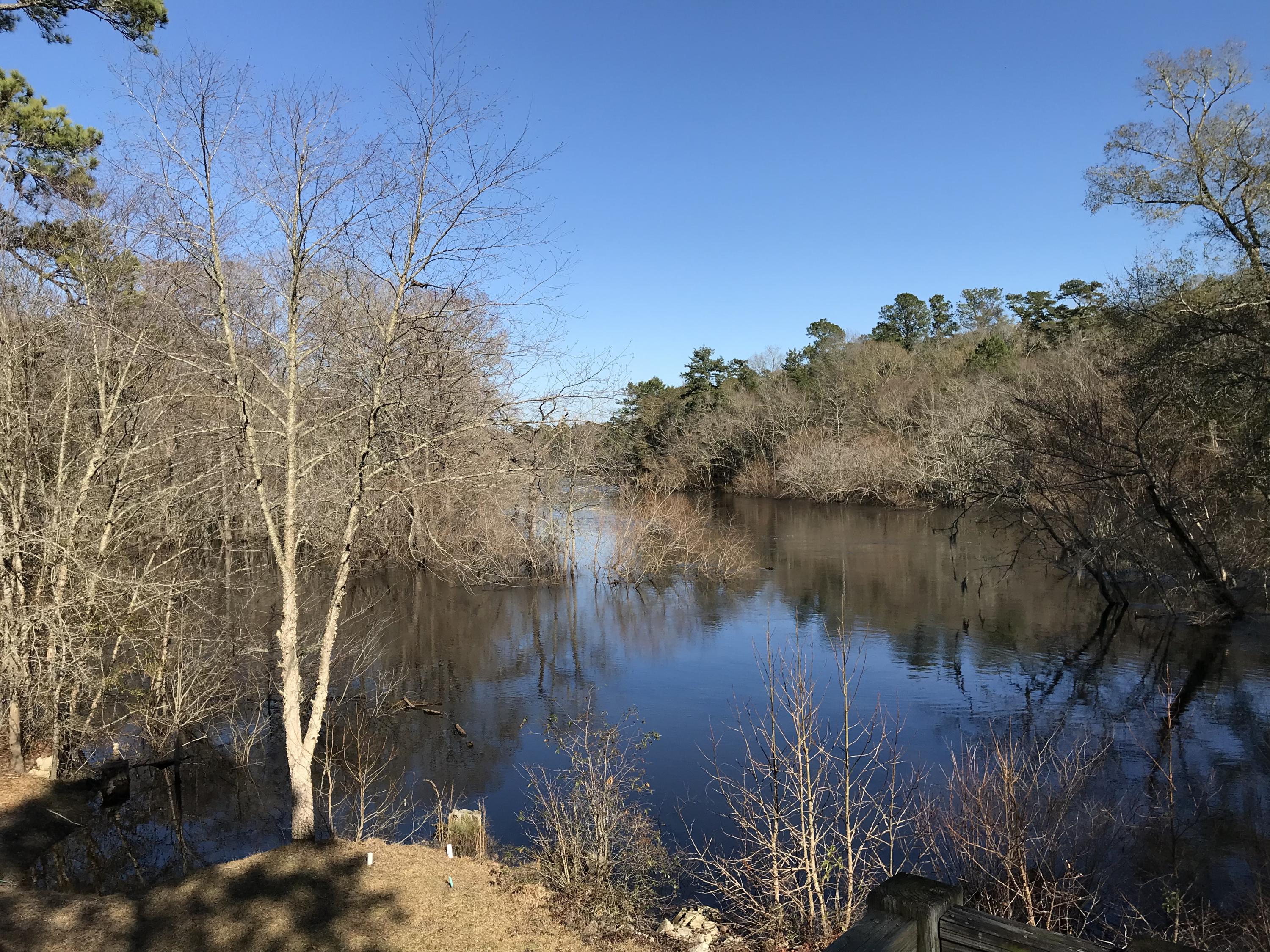 2165 Sullivans Ferry Road Ridgeville, SC 29472 - Photo 2 of 23 VIEW FROM FRONT