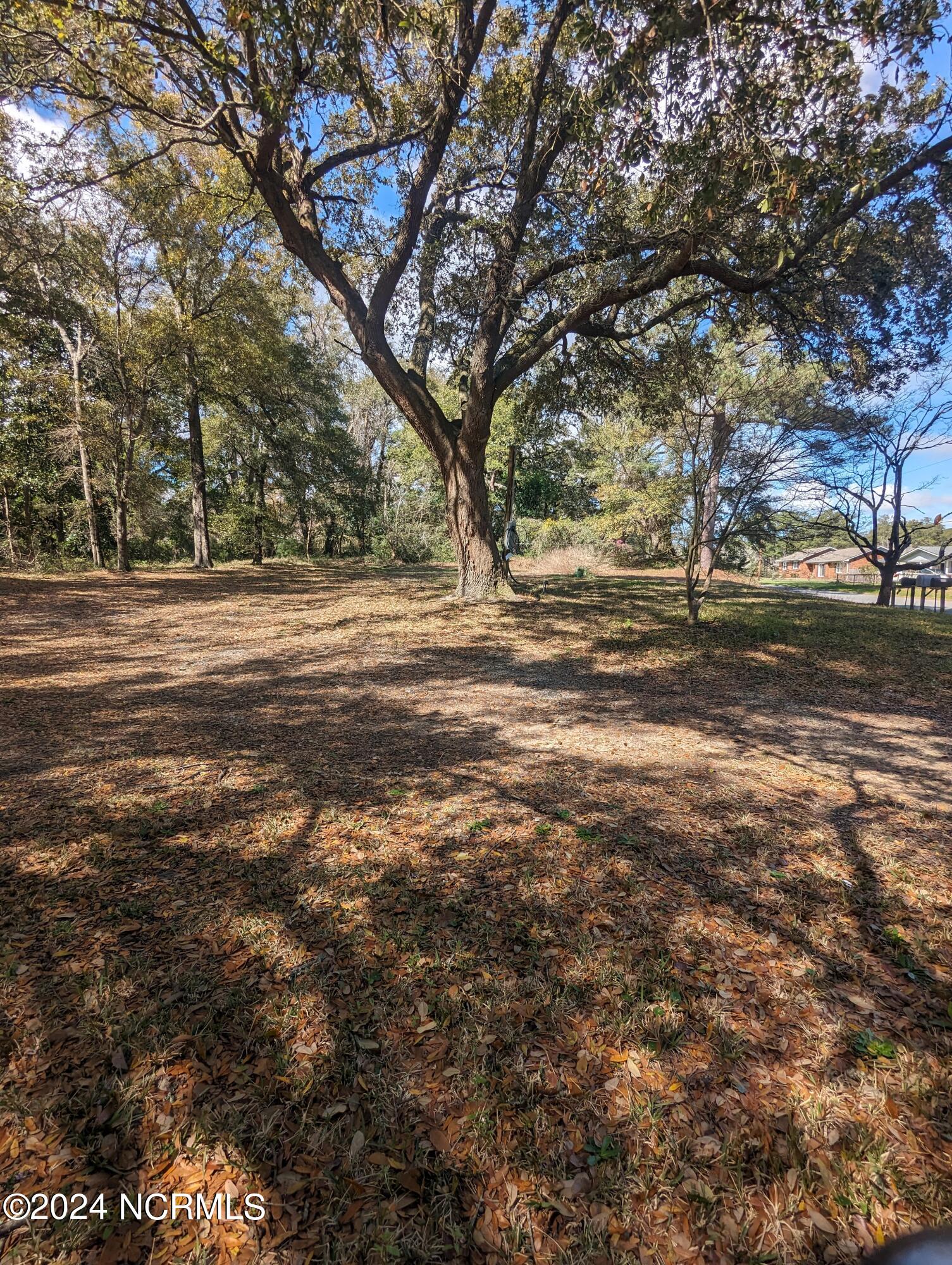 5308 Peden Point Road Wilmington, NC 28409 - Photo 1 of 8 1000003295
