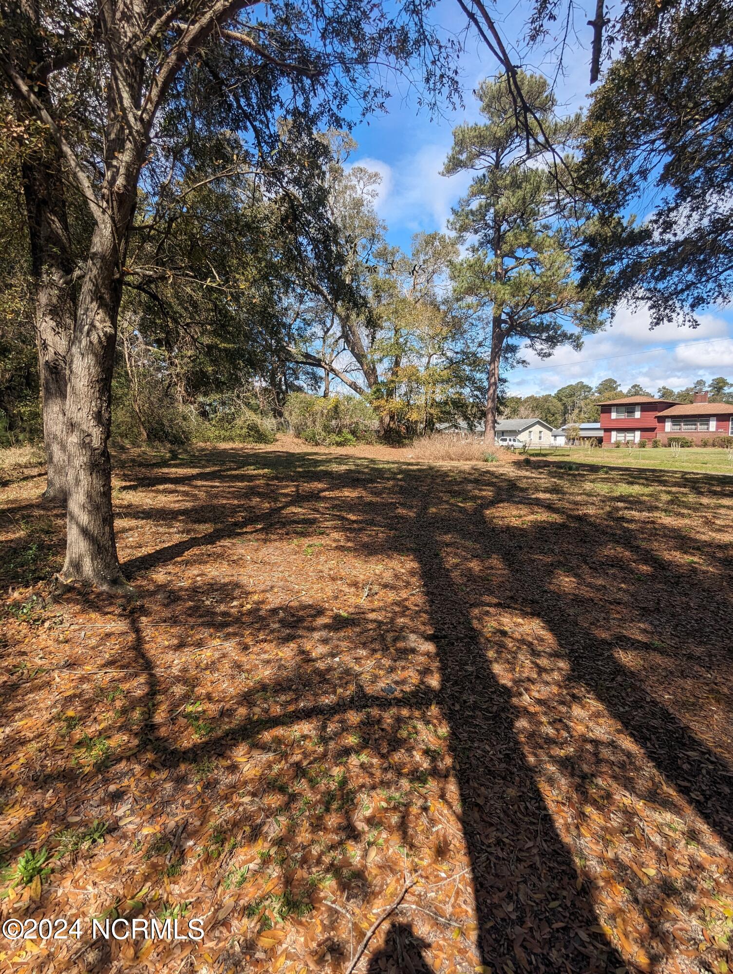 5308 Peden Point Road Wilmington, NC 28409 - Photo 2 of 8 1000003296