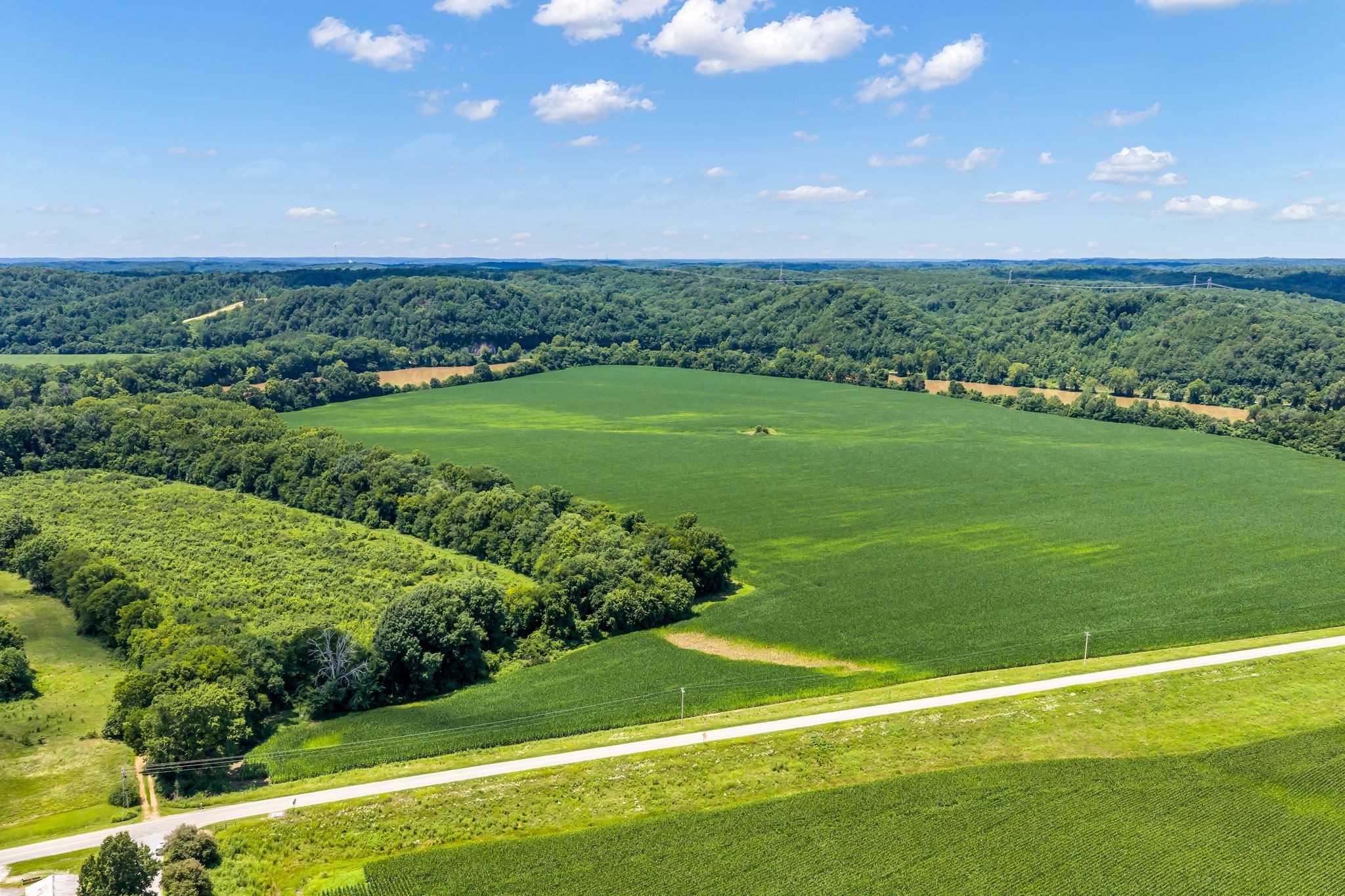 0 Bakerville Road Waverly, TN 37185 - Photo 2 of 35 Gallery Image 2