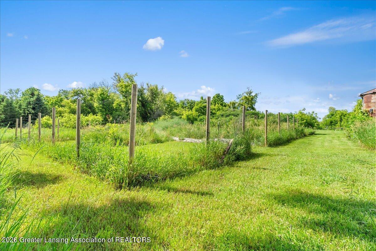 6340 North Hartel Road Potterville, MI 48876 - Photo 50 of 62