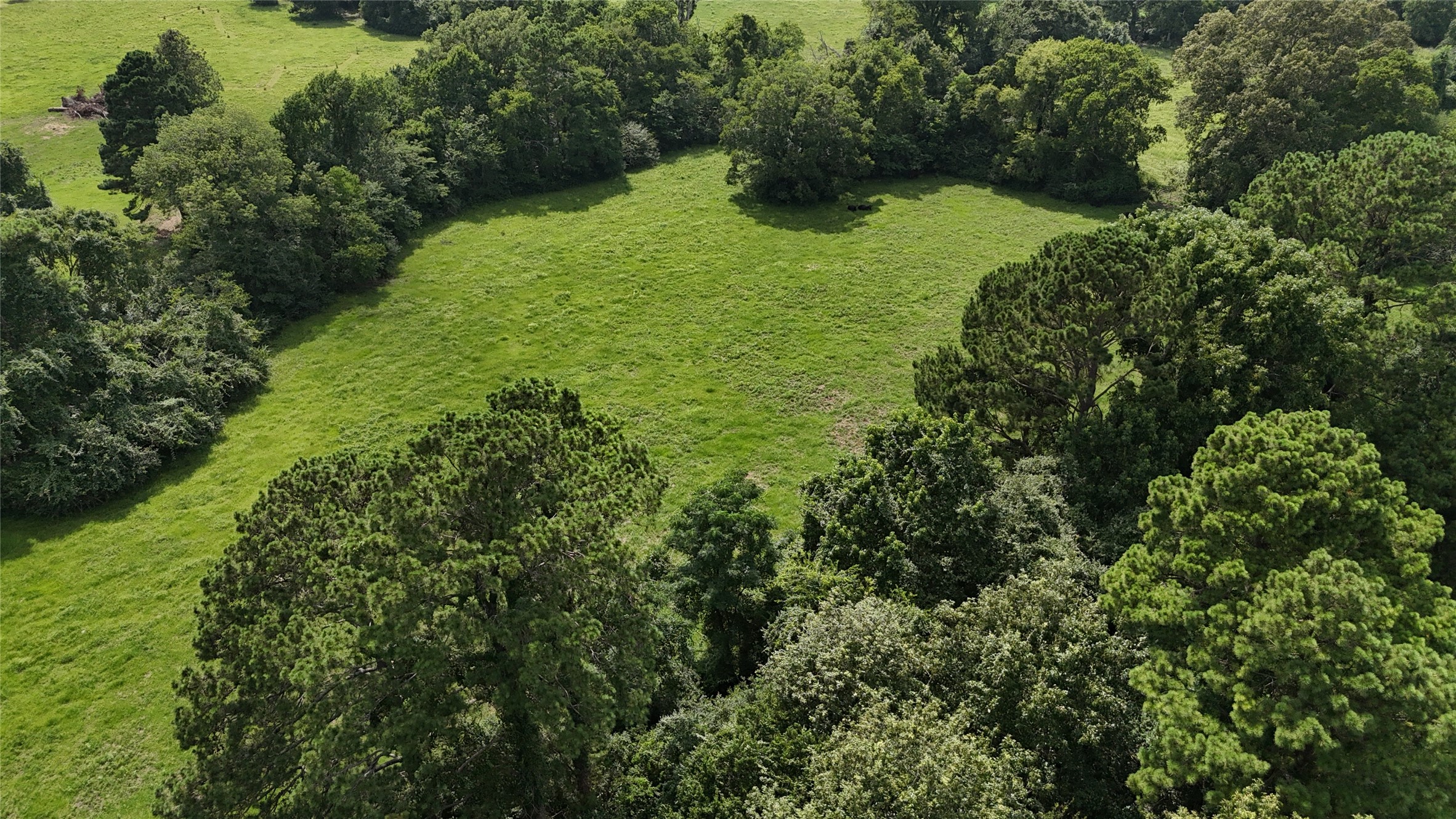 Tbd Jones Road New Waverly, TX 77358 - Photo 5 of 9