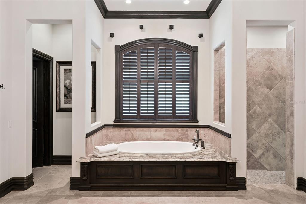 6507 Rosella Court Windermere, FL 34786 - Photo 38 of 92 a bathroom with a granite countertop bathtub and shower