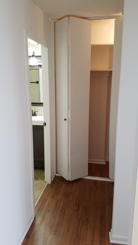 5455 North Sheridan Road, Unit 2507 Chicago, IL 60640 - Photo 5 of 16