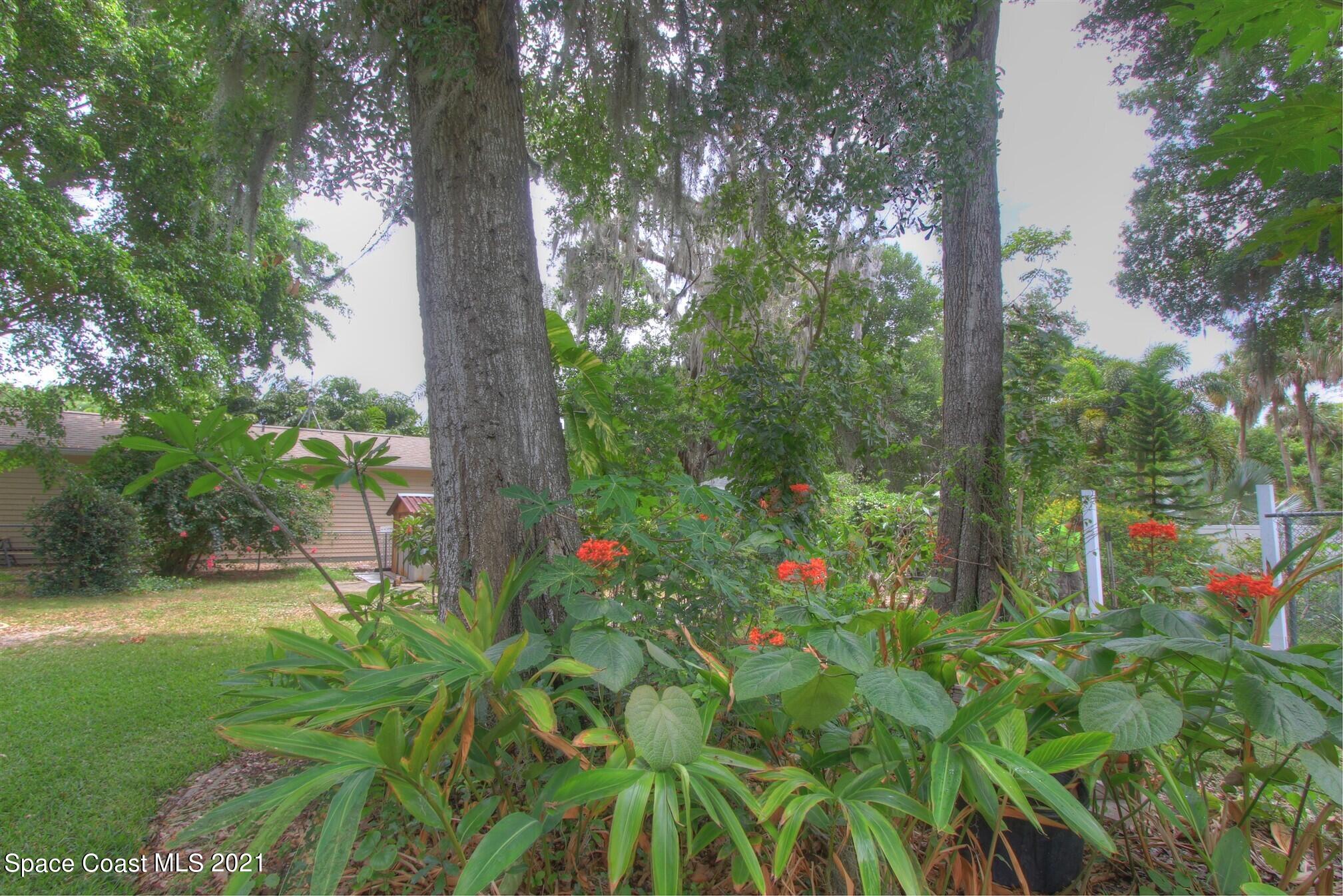 32 Littlejohn Lane Rockledge, FL 32955 - Photo 45 of 62 IMG_1708_09_10_Detailed