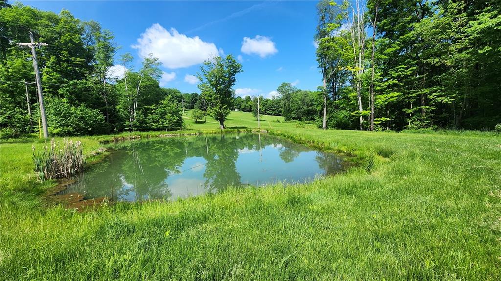 a view of a lake with a yard