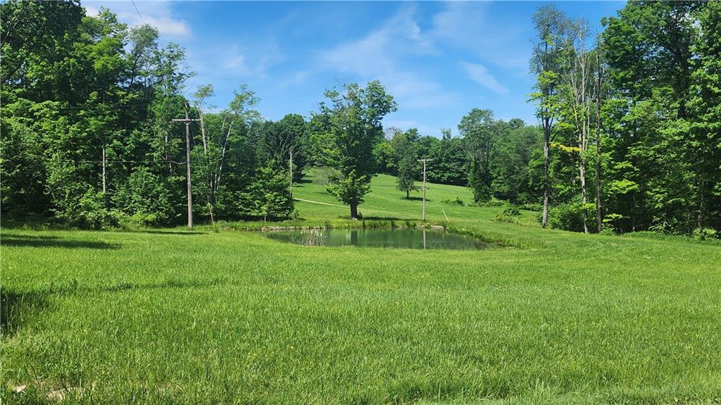 0 Arcadia Road Cherry Tree, PA 15724 - Photo 2 of 11 a view of a park with large trees