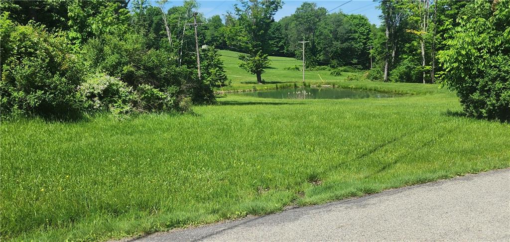 0 Arcadia Road Cherry Tree, PA 15724 - Photo 3 of 11 a view of grassy field with trees