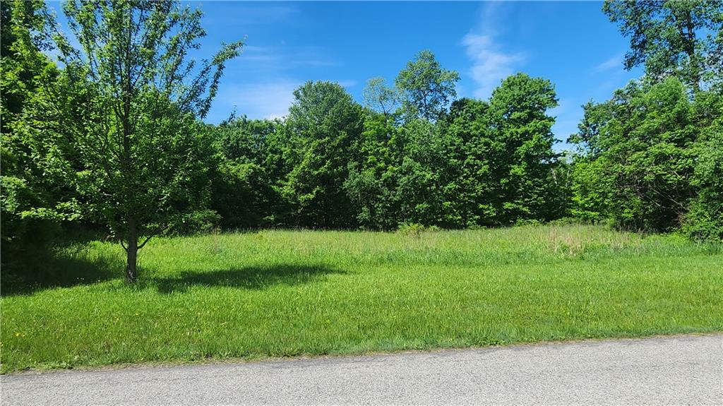 0 Arcadia Road Cherry Tree, PA 15724 - Photo 5 of 11 a view of a garden