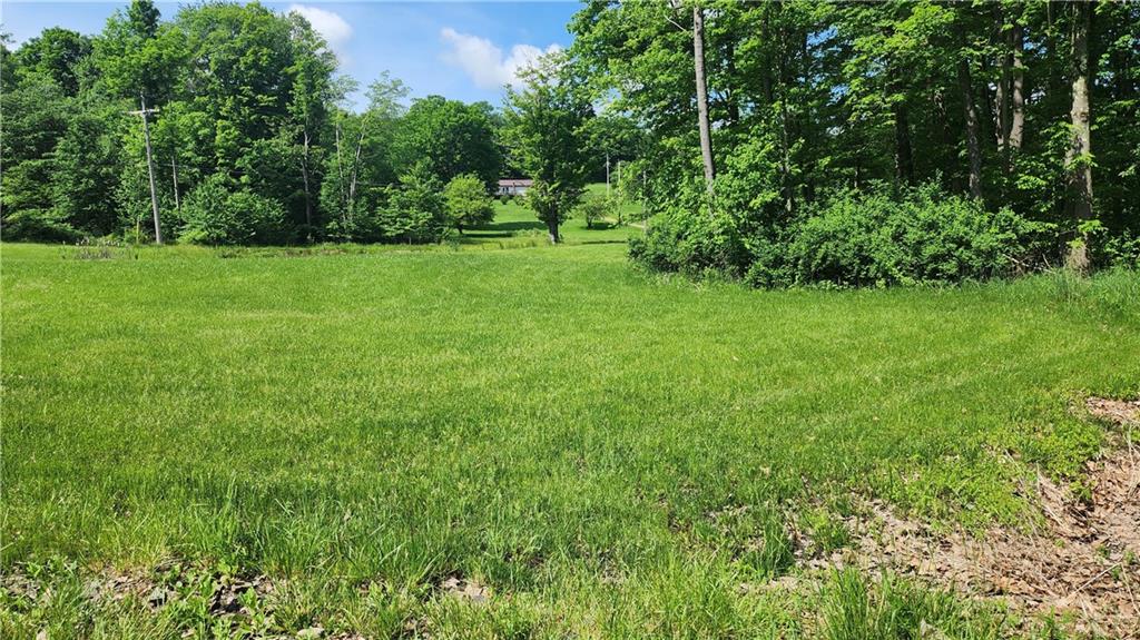 0 Arcadia Road Cherry Tree, PA 15724 - Photo 6 of 11 a view of a grassy field with trees in the background