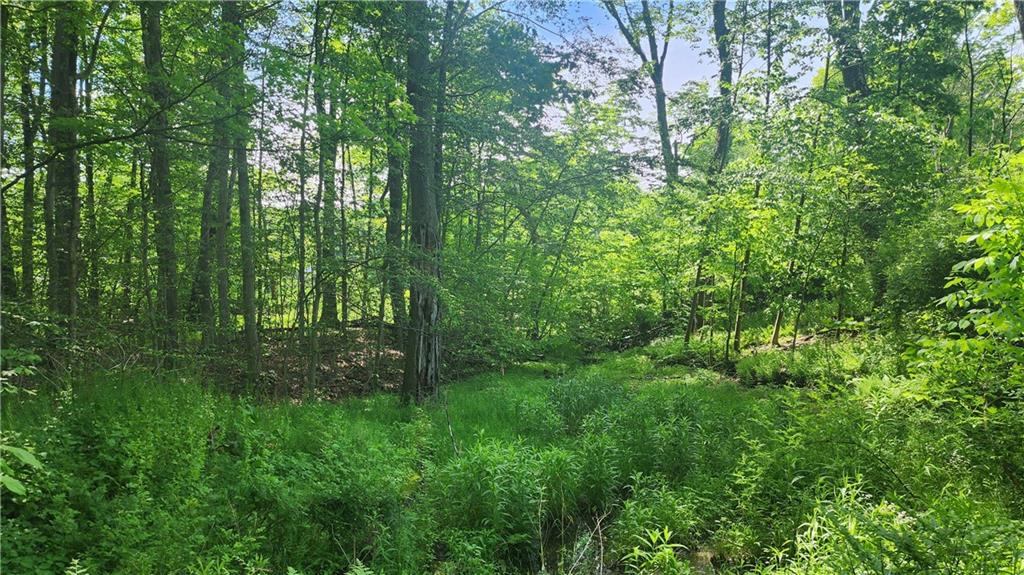 0 Arcadia Road Cherry Tree, PA 15724 - Photo 8 of 11 a view of outdoor space and green space