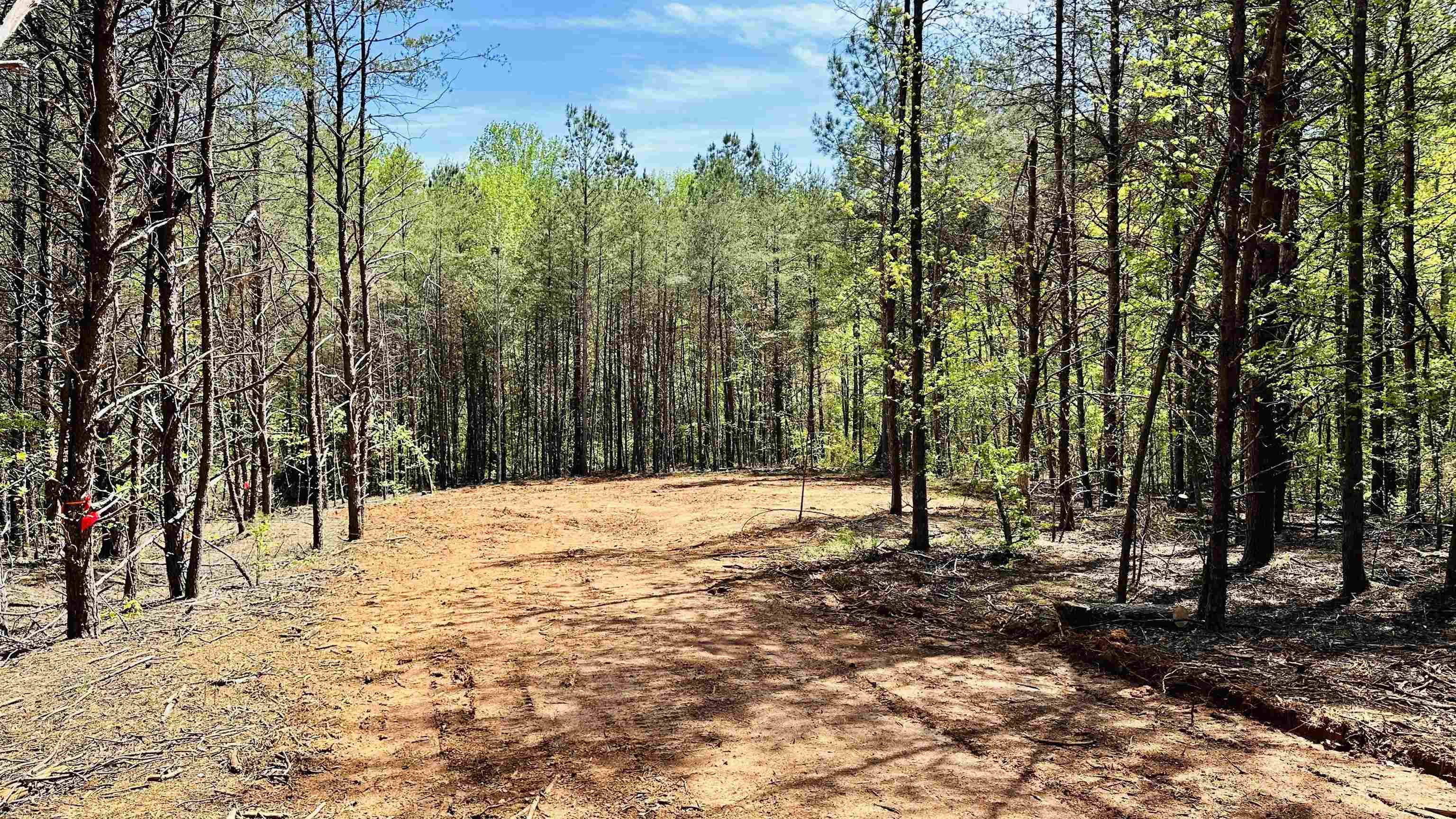 990 Clark Road Inman, SC 29349 - Photo 11 of 20