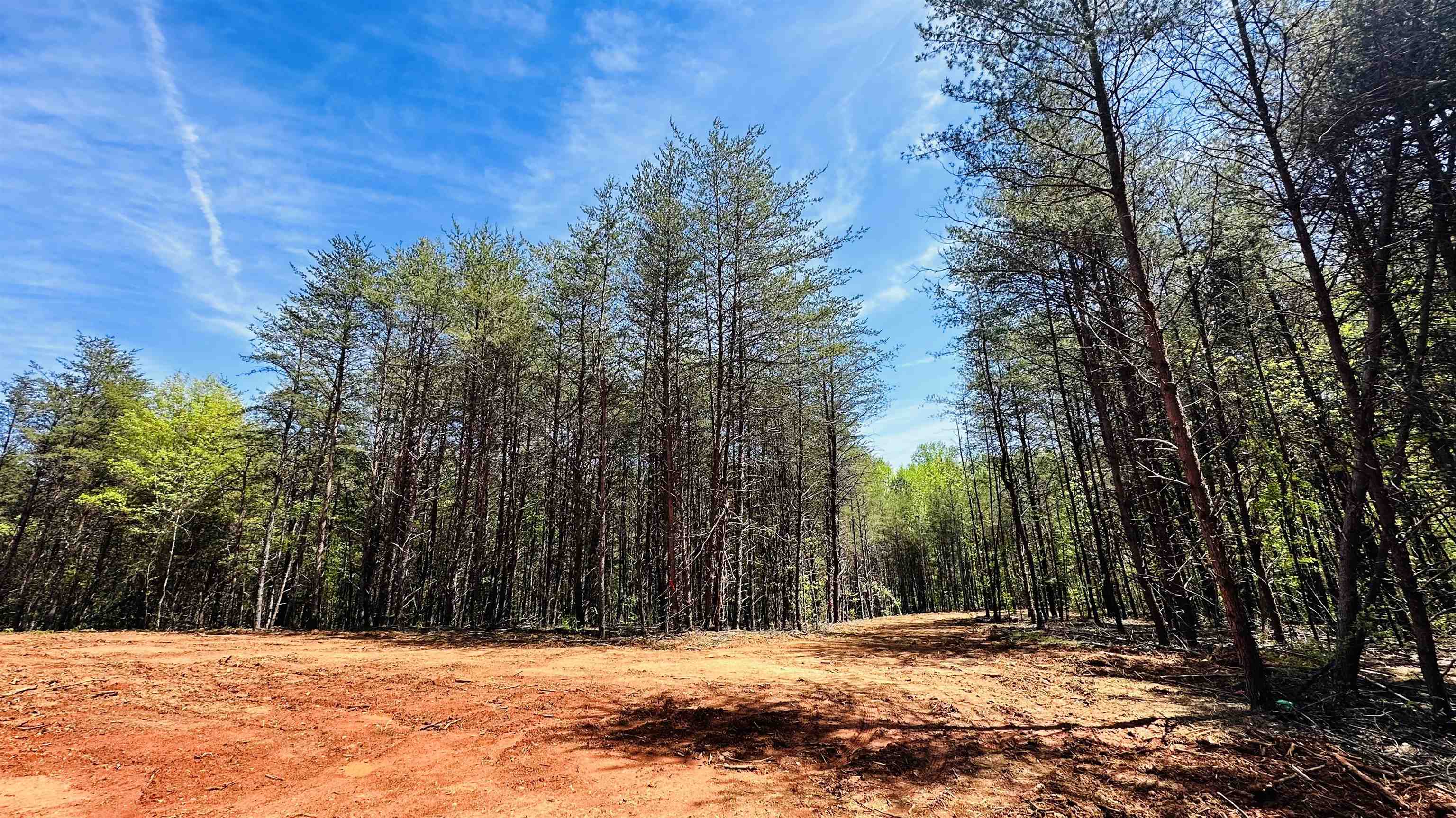 990 Clark Road Inman, SC 29349 - Photo 12 of 20