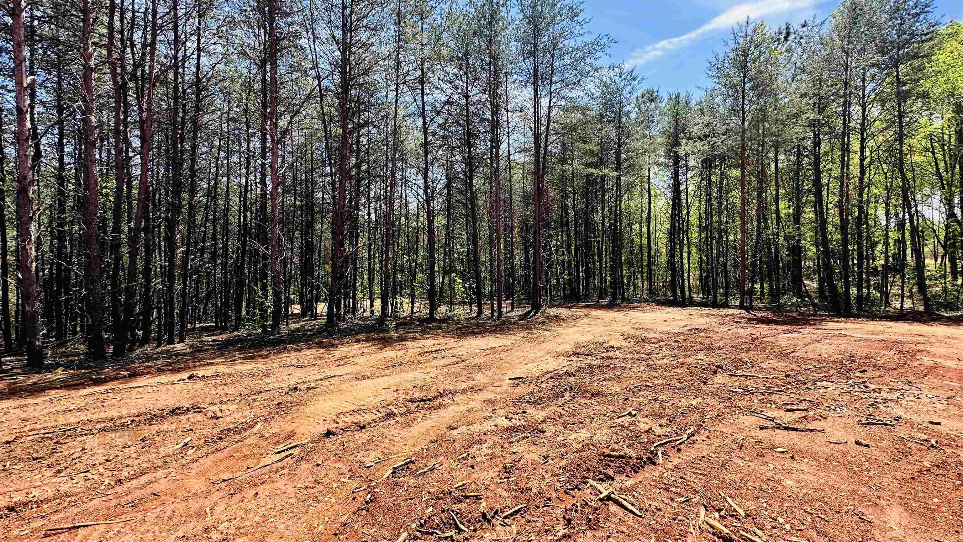 990 Clark Road Inman, SC 29349 - Photo 15 of 20