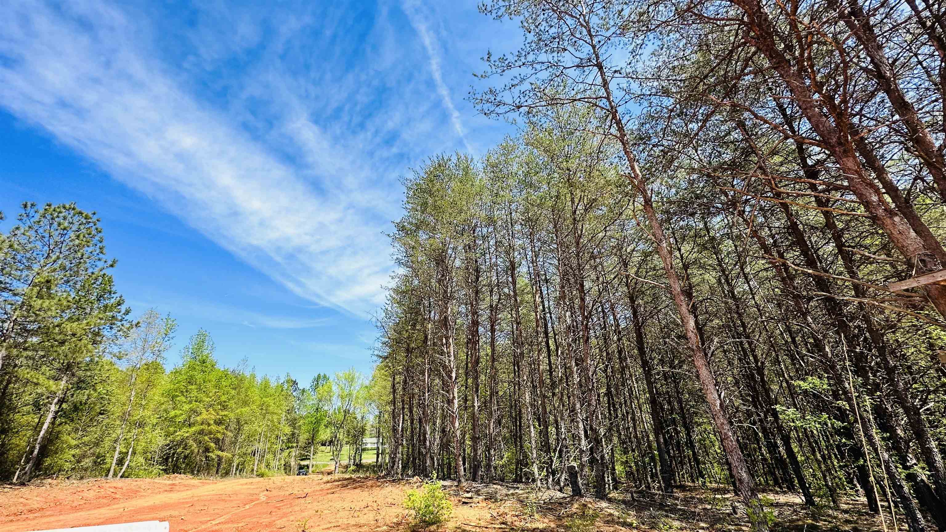 990 Clark Road Inman, SC 29349 - Photo 16 of 20