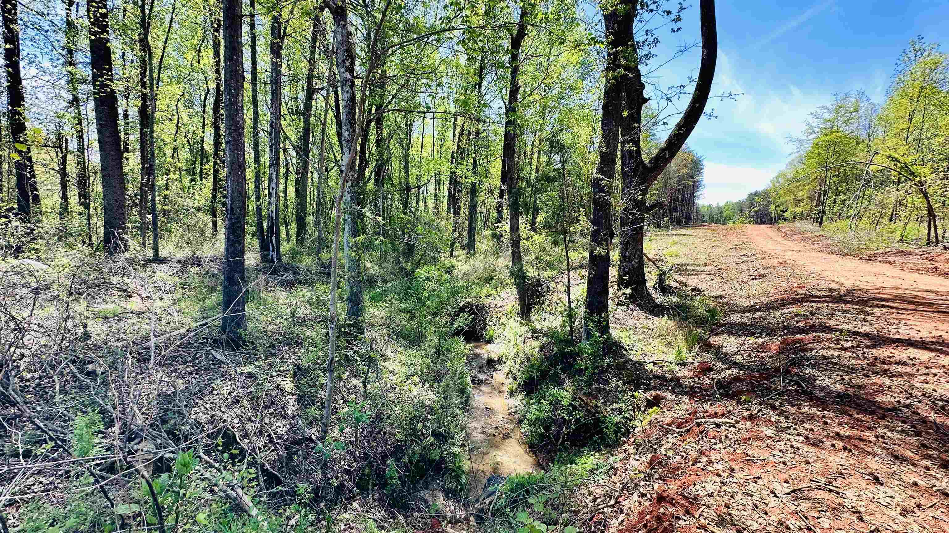 990 Clark Road Inman, SC 29349 - Photo 9 of 20
