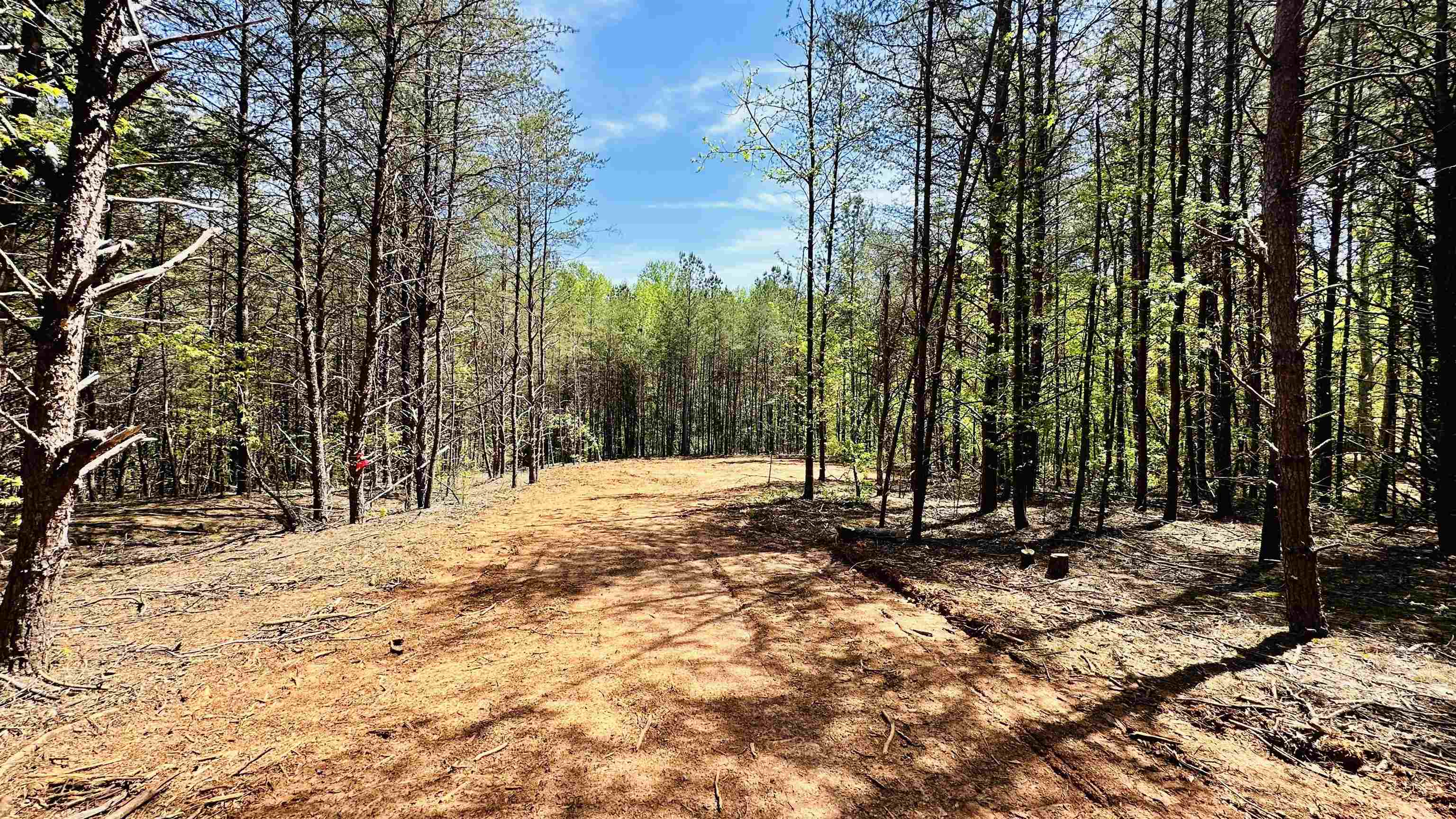 990 Clark Road Inman, SC 29349 - Photo 10 of 20